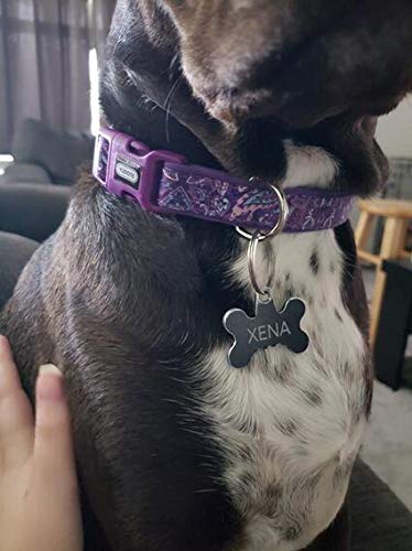 Yudote Durable Dog Collar With Maple Leaves Pattern, Neoprene Padded Soft And Comfortable, Adjustable Collars For Small Dogs & P