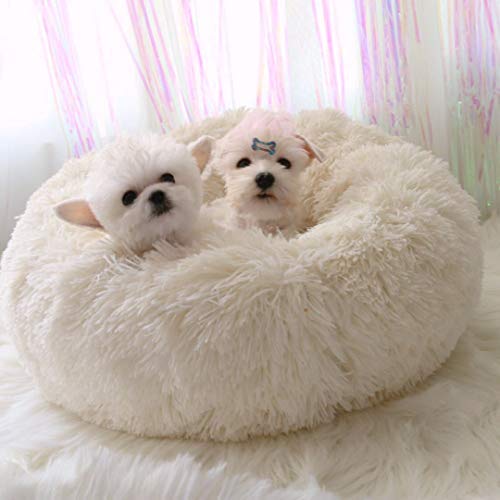Bodiseint Modern Soft Plush Round Pet Bed For Cats Or Small Dogs, Mini Medium Sized Dog Cat Bed Self Warming Autumn Winter Indoor Snooze Sleeping Cozy Kitty Teddy Kennel (20''D X 8'' H, Dark Grey)