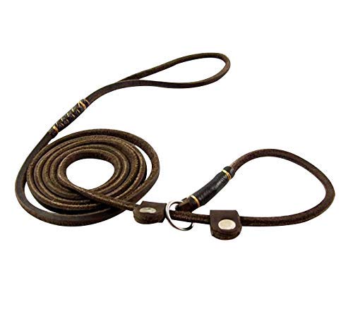 Real Leather Slip Dog Leash For Small Medium Dogs Lightweight Thin But Sturdy Adjustable Slip Lead Dog Leash Soft And Slim 5 Ft X 1/5 Inch