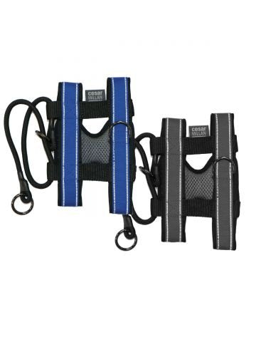 Cesar Millan Pack Leader Collar™ - Training Collar Of The Dog Whisperer (Small, Blue)