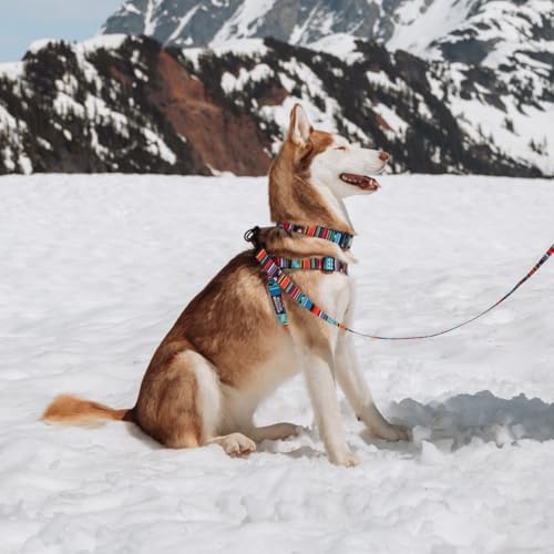 Wolfgang Heavy Duty Adjustable Dog Harness, Pull-Tested To Over 800 Lbs For Walking & Training, Quetzal Print, Medium