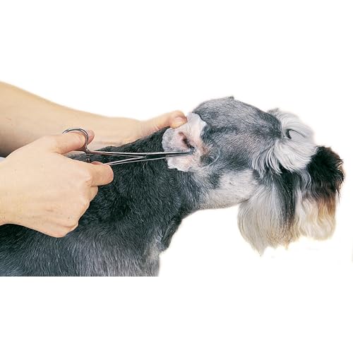 Top Performance ProEar Professional Ear Powde, 28gm