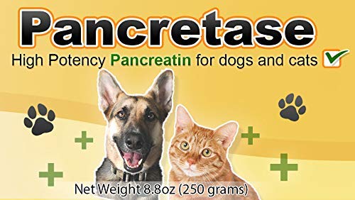 CK Formulations | Pancretase Digestive Enzymes | 10x Pancreatin | Pancreatin for Dogs and Cats | Pancreatic Enzyme | Great for P