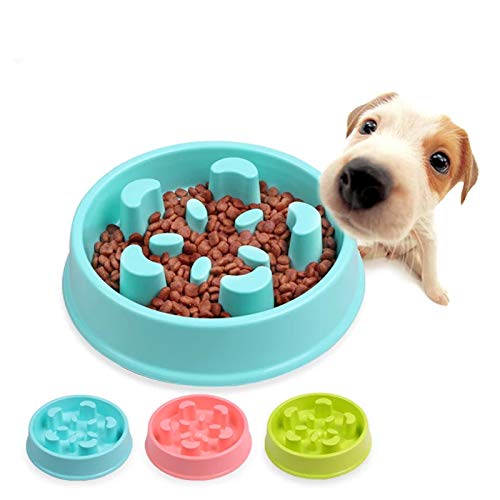 Petlicious & More Anti Choke Small Dogs & Puppies Food Slow Feeding Bowl Slow Feeder Dog Bowl Cat Slow Feeder Bowl (Color May Va