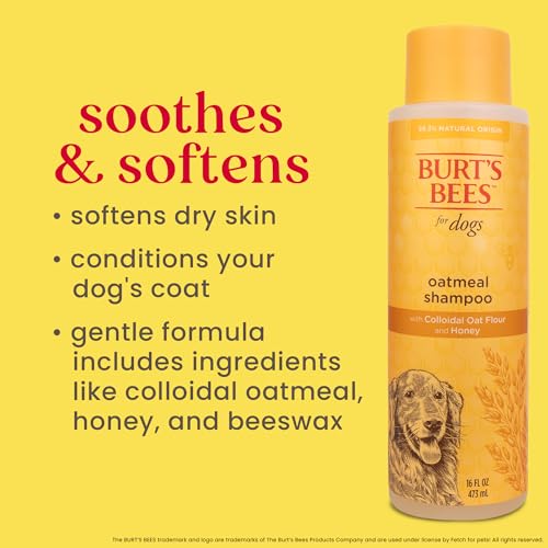 Burt'S Bees For Pets Oatmeal Dog Shampoo | With Colloidal Oat Flour & Honey | Moisturizing & Nourishing, Cruelty Free, Sulfate & Paraben Free, Ph Balanced For Dogs - Made In Usa, 16 Oz