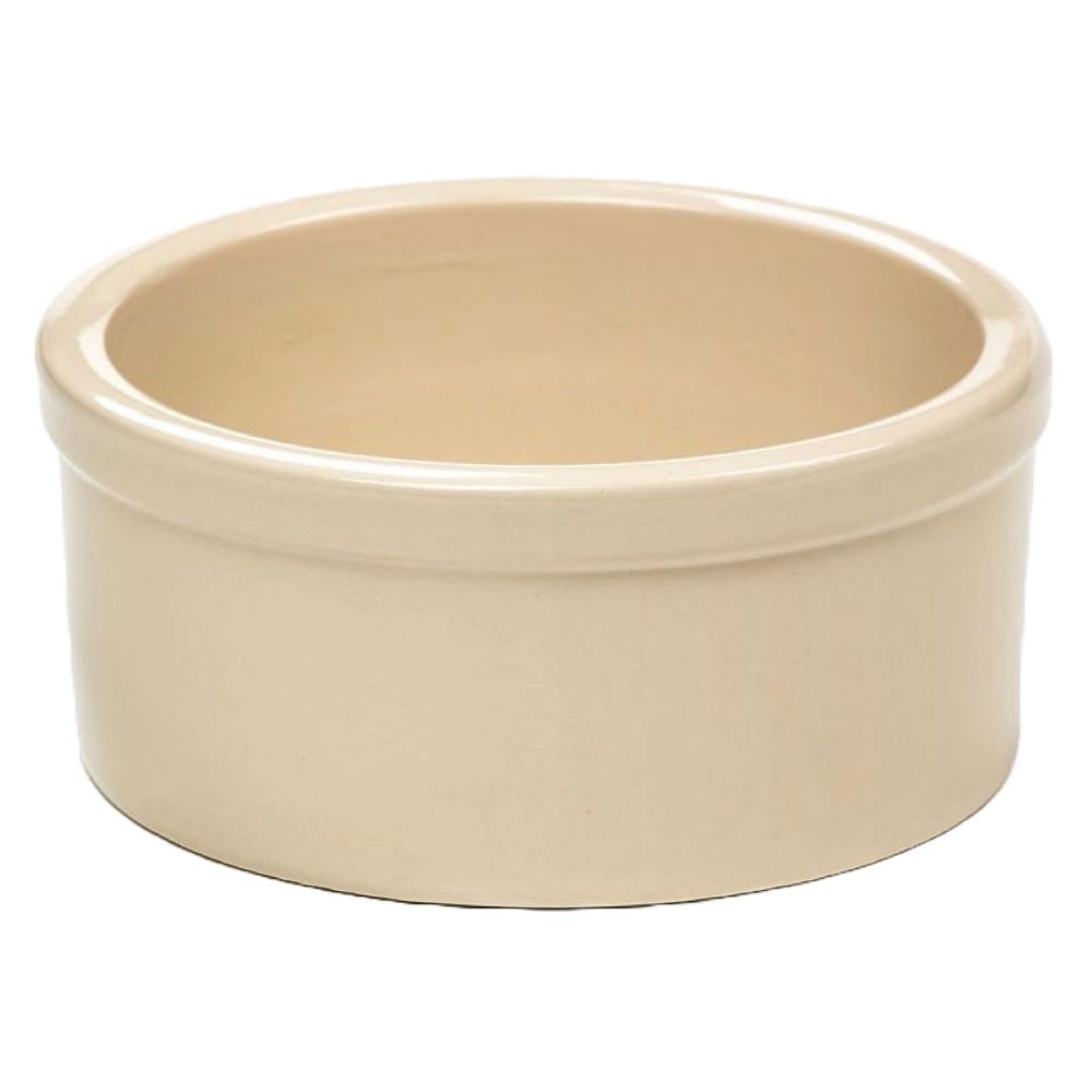 5' Dog Bowl