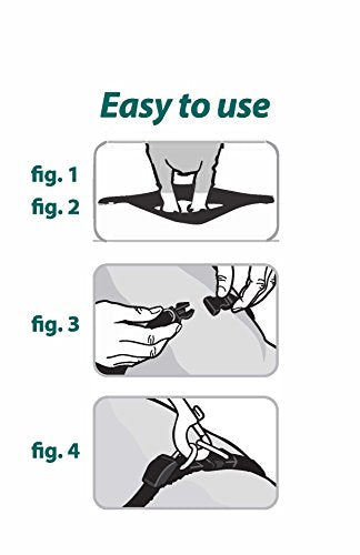 Sporn Easy-Fit Mesh Dog Harness Large Sized Dog, Turquoise Soft Fabric Nylon No Choke Dog Harness Large Size Dog, Breathable & Easy Dog Walking Harness, Provides To X-Large Breeds