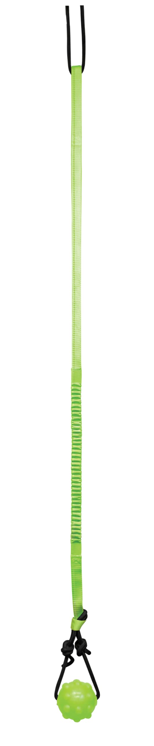 Jolly Pets Tree Tugger Dog Toy, Nylon, Green, Model JP071, Durable Tugging Fun