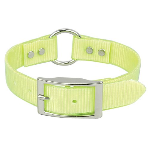 Omnipet Sunglo Ring-In-Center Dog Collar, 1' Wide, Yellow, Fits 16'- 19.5' Neck Sizes, Vibrant Colors & Tough Construction Fo