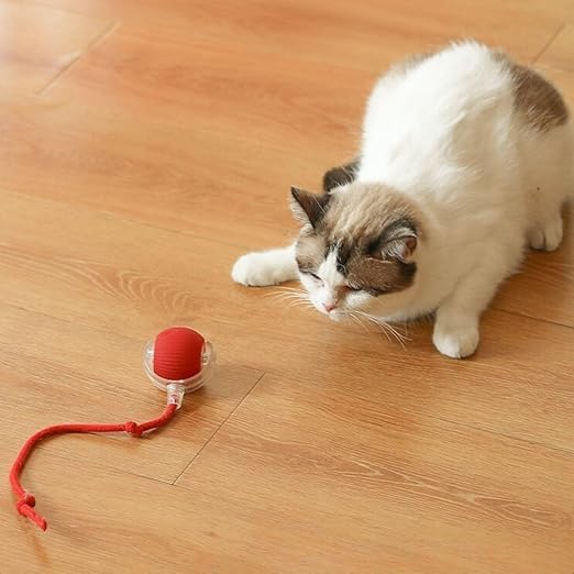 Vardista Cat Dancing Ball Pet Rolling Toy  360 Smart Automatic Interactive Ball With Speedy Tail Rope SelfMoving Silicone Chas