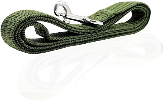 Nylon Dog Leash 8 Feet Long, Walking Training Dog Leashes For Medium Large Dogs(1'' X 8 Ft, Gree)