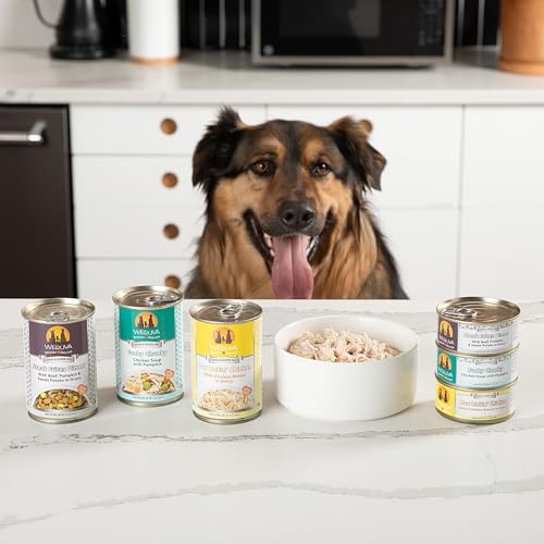 Weruva Classic Dog Food, Grandmas Chicken Soup with Chicken Breast & Veggies, 5.5oz Can (Pack of 24)