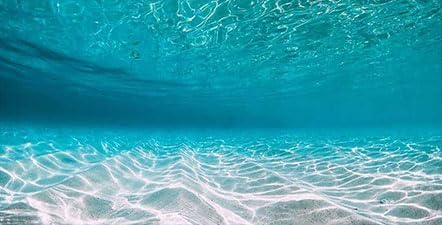 Dtekoj 72X18IN Natural Undersea Aquarium Background, Undersea Beach Fish Tank Background, with 8 EVA Double-Sided Tape