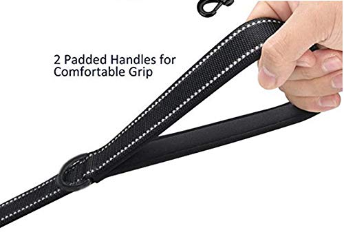 Heavy Duty Dog Leash - 2 Handles By Padded Traffic Handle For Extra Control, 6Foot Long - Perfect For Medium To Large Dogs (6 Ft