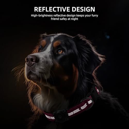 Upgraded Airtag Dog Collar, Ip68 Waterproof Air Tag Dog Collar Holder, Reflective, Ultra-Durable, Comfortable Padded, Heavy Duty Dog Collars For Small Medium Large Dogs (Xs (10.25'-13'), Hotpink)