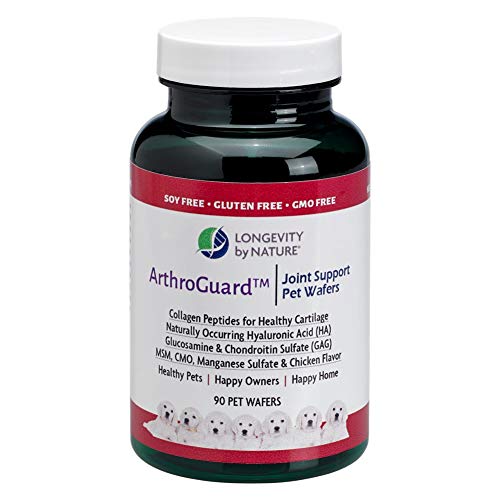 Animal Joint Health-for Pets & Horses-Collagen Type II Plus H.a