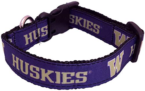 College Dog Collar (Medium, Washington)