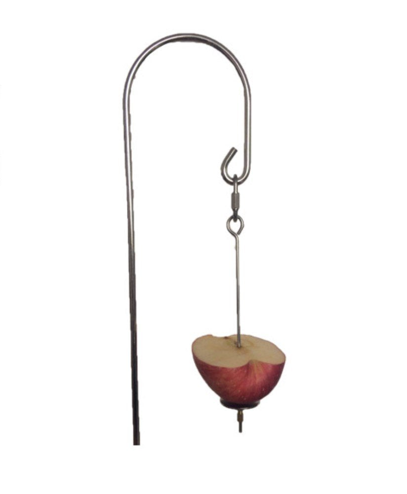 Honbay 2Pcs Parrot Bird Rabbit Hutch Cage Fruit Vegetable Holder Skewer Foraging Toy Animal Treating Tool (S)