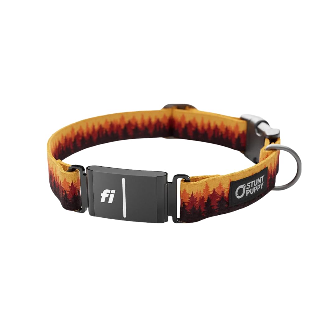 Stunt Puppy Dog Collar, Fi Series 3 Ready, Pines Orange, X-Large - Compatible With Fi Gps Device (Not Included)