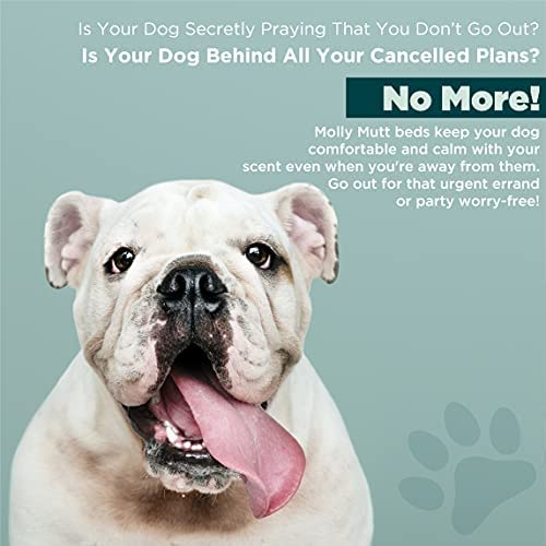 Molly Mutt Water-Resistant Dog Bed Liner, Polyester Bed Liner For Dogs, Easy To Clean, Gray, Small,22'X27'X4.75'