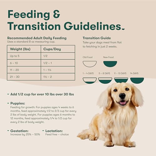Jinx Premium Grain-Free Dry Dog Food, for All Lifestages - Real Salmon, Sweet Potato & Carrot Kibble with Superfoods for Immune