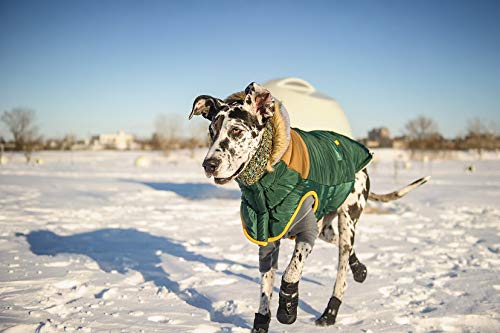 Gf Pet Gondola Base Layer For Dogs | Micro Polar Fleece Dog Bodysuit | Warm 4-Way Stretch Onesie | Full Body Coverage, Protection From Cold | Pajamas & Winterwear - Charcoal - 2X Large
