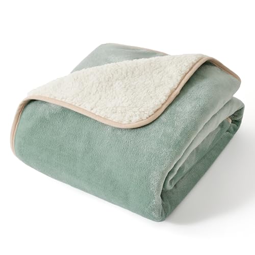 Bedsure Waterproof Dog Blankets For Small Dogs - Small Cat Blanket Washable For Couch Protection, Sherpa Fleece Puppy Blanket, Soft Plush Reversible Throw Furniture Protector, 25'X35', Light Green