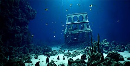 Dtekoj 48X24IN Natural Underwater Aquarium Background, Pictures 3D Fish Reef Fish Tank Decoration Background, with 8 EVA Double-