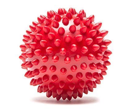 PSK PET MART Big Rubber Ball Toy for Medium and Large Dogs, 4 Inches,