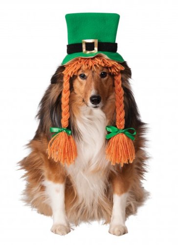 Rubie's St. Patty's Day Girl Pet Costume Hat with Braids, Small/Medium
