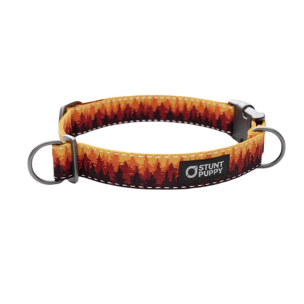 Pines Orange Everyday Collar, Large