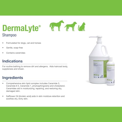 Dermalyte Shampoo, 12 Ounce