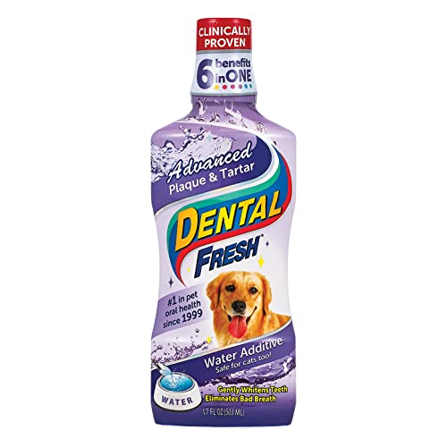Dental Fresh Advanced Plaque and Tartar Water Additive, 17oz - Dog Teeth Cleaning Formula to Freshen Breath and Improve Cat & Do