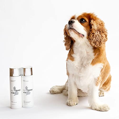 Isle Of Dogs Coature No. 20 Royal Jelly Dog Shampoo For Thin Or Shedding Coats, 8.4 Oz.