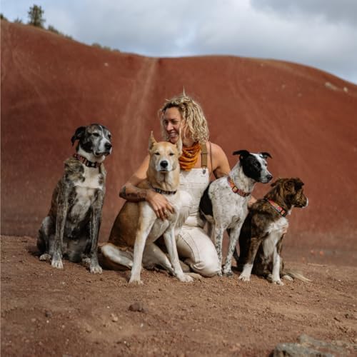 Wolfgang Heavy Duty Martingale Dog Collar With Quick Release Nylon Buckle For Walking & Training, Packleader Print, Medium