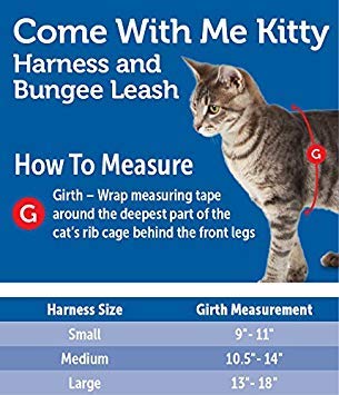 Petsafe Come With Me Kitty Harness And Bungee Leash, Large, Dusty Rose