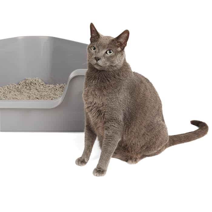 So Phresh High-Back Corner Grey Litter Box, 26.25' L X 21.5' W X 10' H