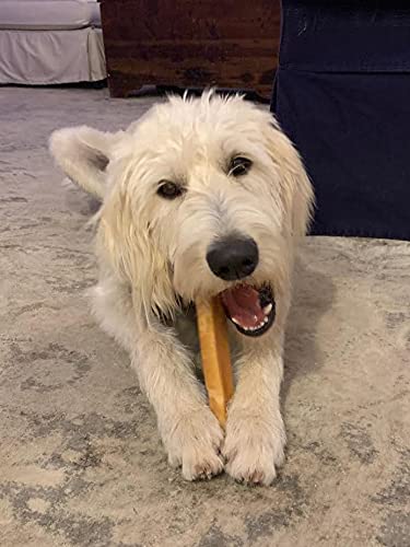 EcoKind Premium Gold Monster Yak Cheese Himalayan Dog Chew, Dog Treats Large Breed, All Natural, High Protein, for Aggressive Ch