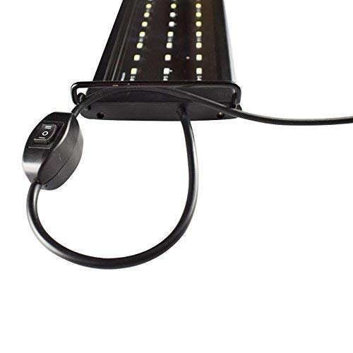 Kzkr Led Aquarium Hood Lighting 72-78 Inch Fish Tank Light Lamp For Freshwater Marine Saltwater Blue And White Decorations Light