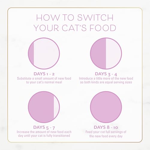Fancy Feast Purina Kitten with Savory Chicken and Turkey Kitten Dry Food - 3 lb. Bag