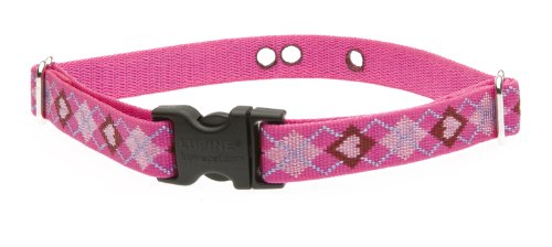 Lupinepet Originals 3/4' Puppy Love 19-31' Containment Collar Strap For Extra Large Dogs