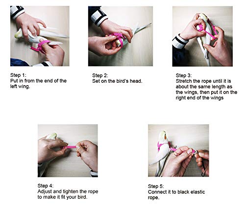 Vanfavori Adjustable Bird Harness With 80 Inch Leash, Outdoor Flying Kit Training Rope For Bird Parrots Cockatiel S Size Weight 70-120 Grams,Green