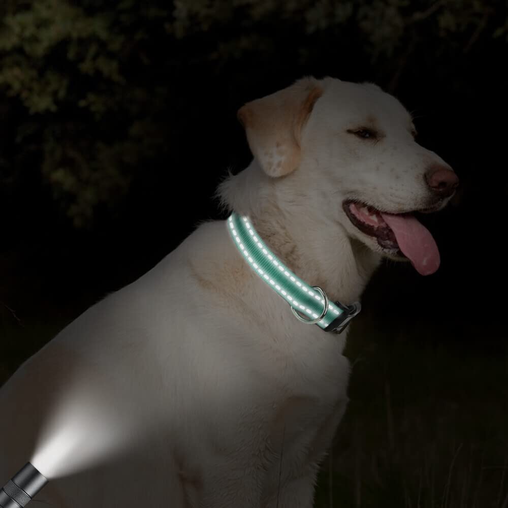 Taglory Reflective Adjustable Dog Collars For Puppy Small Medium Large Dogs, Thin Nylon Webbing And Quick Release Plastic Buckle(Teal Green,X-Large)