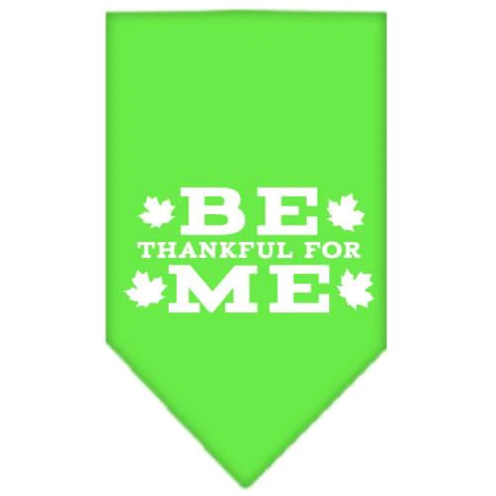 Mirage Pet Products Be Thankful for Me Screen Print Bandana, Small, Lime Green