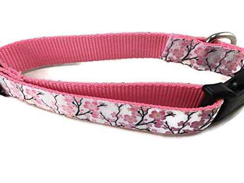 Spring Dog Collar, Caninedesign, Valentine, St Patricks Day, Easter, 1 Inch Wide, Adjustable, Nylon, Medium And Large (Cherry Bl