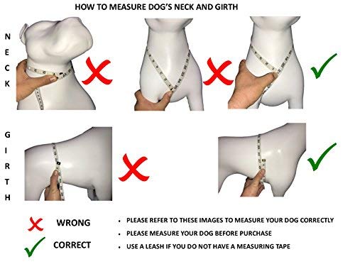 Albcorp Service Dog Vest Harness - Reflective - Woven Polyester And Nylon, Comfy Mesh Padding - Sizes From Xxs To Xl - Service Dog Patches Included. Green Camo, Small