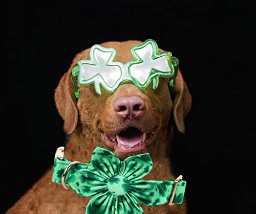 Lionheart Glory St. Patrick'S Day Dog Collar, Dog Collar With Flower, Cute Floral Pattern Pet Collar Adjustable Dog Collar For Small Dogs