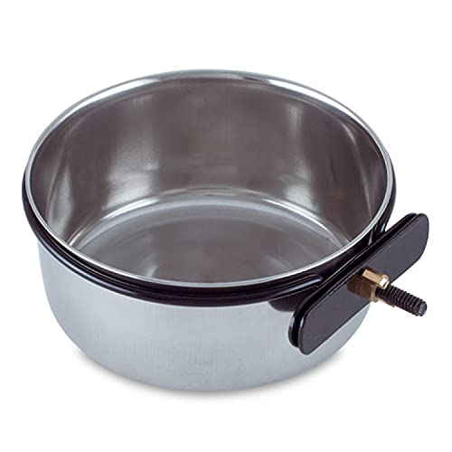 Stainless Steel 20 oz Coop Cup 6 Pack