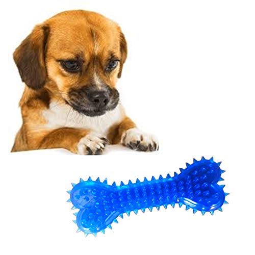 Psk Pet Mart Non Toxic Rubber Flavoured Puppy Bone Toy Hard Spike Bone Chew Toy Teething Toy For Dog (Hard Spike Bone, Color May