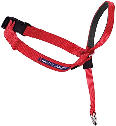 Premier Gentle Leader Headcollar